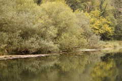Herbstfarben - Doubs-Ufer